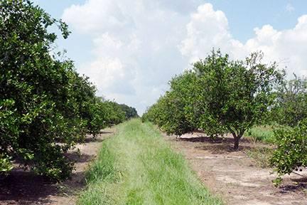 Gib Galloway Acreage