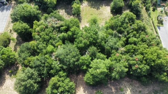 C3 Mount Dora Vacant Land for Development