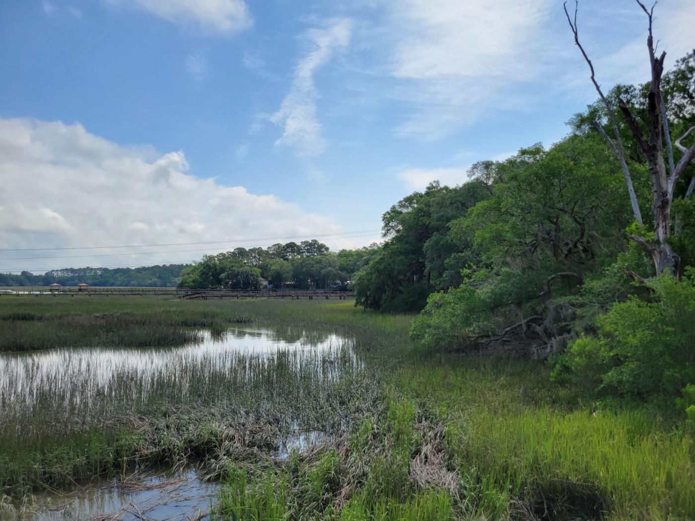 1.39 acres available in Beaufort SC