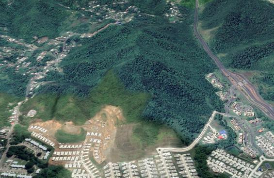 186.5 Acres of Vacant Land in Gurabo FOR SALE