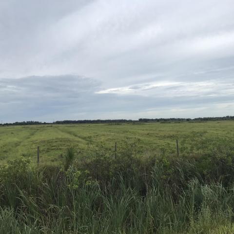Riverside Harvesting 77 Acres
