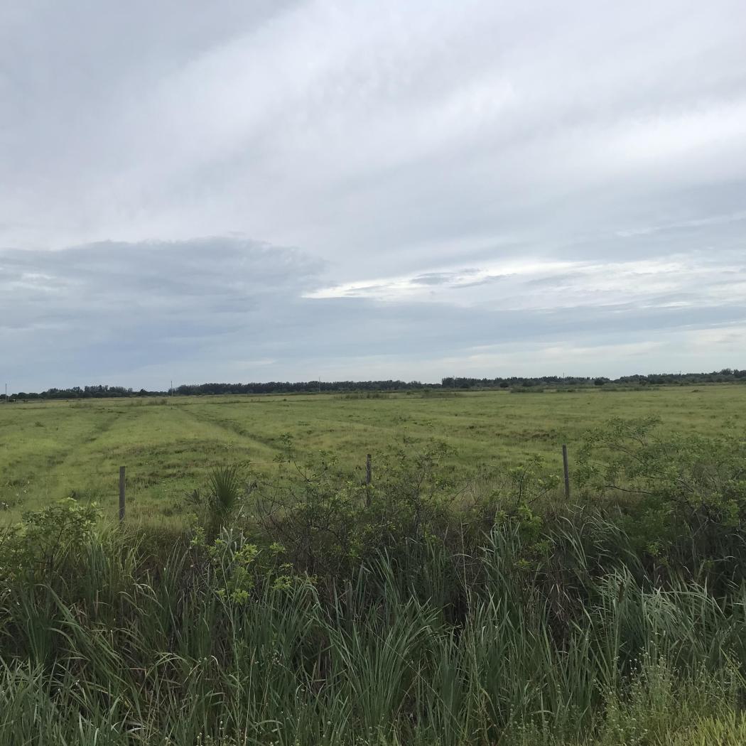 Riverside Harvesting 77 Acres