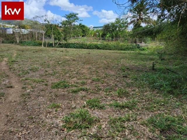 Bo. Guasabara, Terreno en Caguas