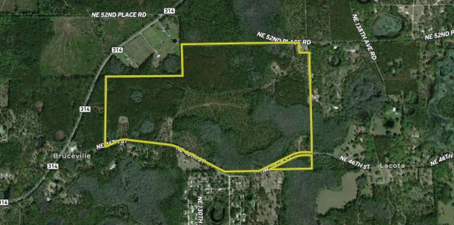 Ocklawaha Mitigation Bank Marion County