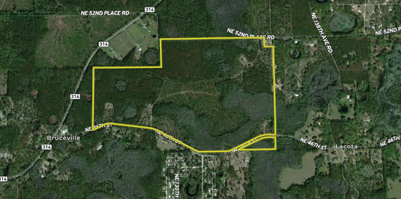 Ocklawaha Mitigation Bank Marion County