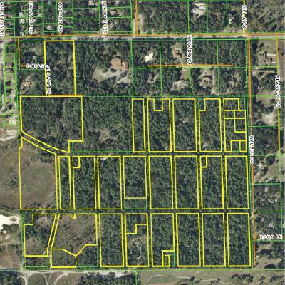 DeLand 153 single family lots - 110 acres