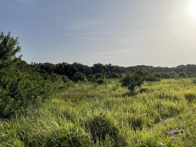 Wimauma Development Land
