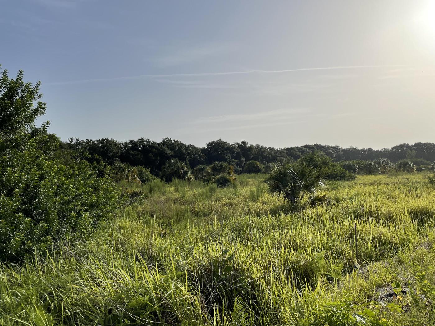 Wimauma Development Land