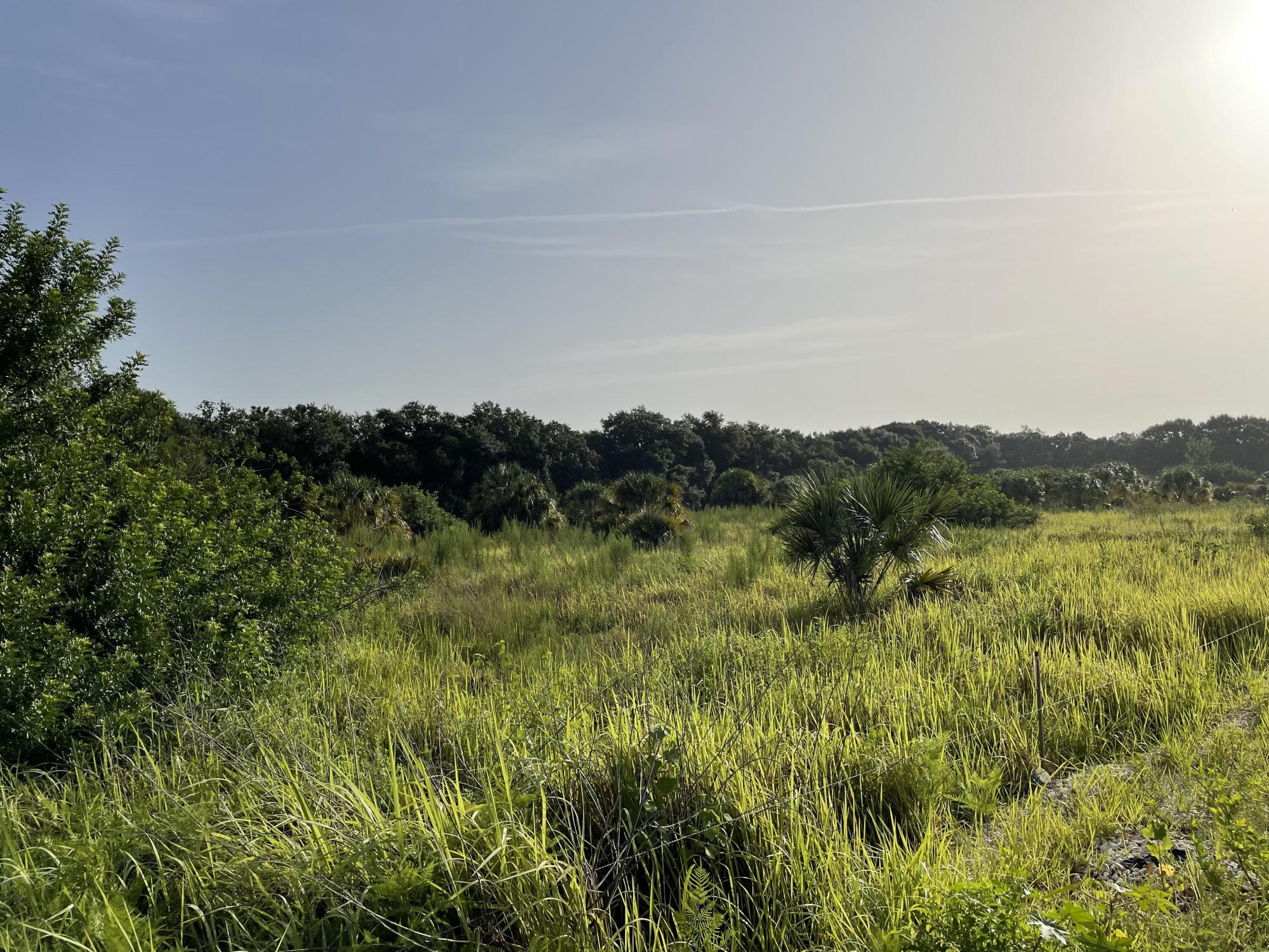 Wimauma Development Land