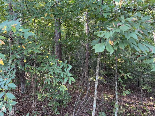 0 Mullinax Road #1