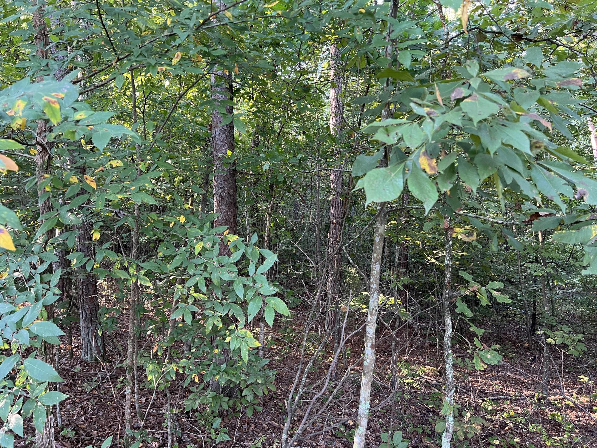 0 Mullinax Road #1