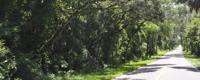Oak Hammock Reserve