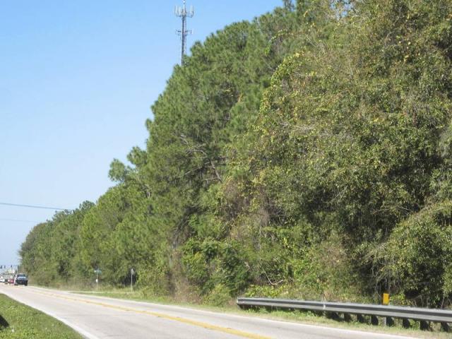 SW Winter Haven Commercial Acreage