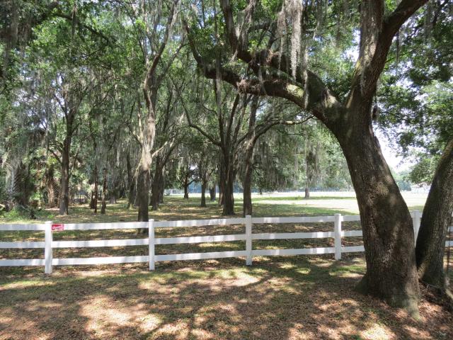 Bryant Road 9 Acres