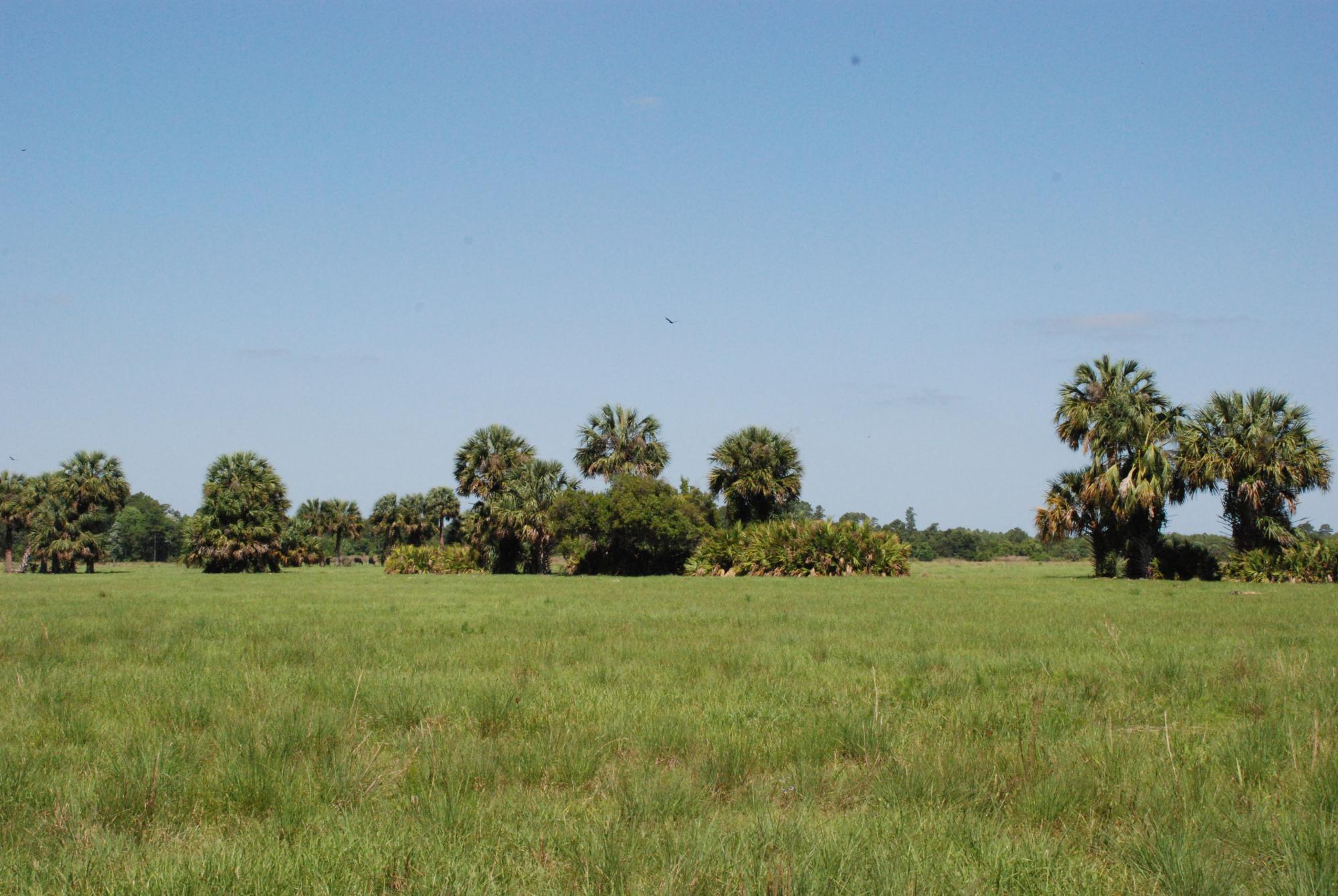 Headwaters Ranch 180 acres Lake County