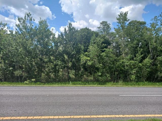 Vacant Land - E Colonial Dr, Christmas, FL