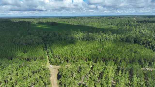 Interlachen Timber and Hunting Tract