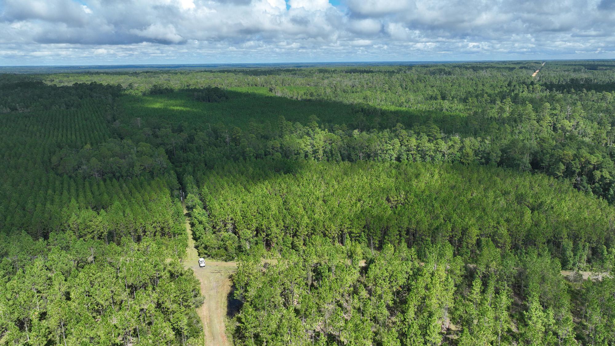 Interlachen Timber and Hunting Tract