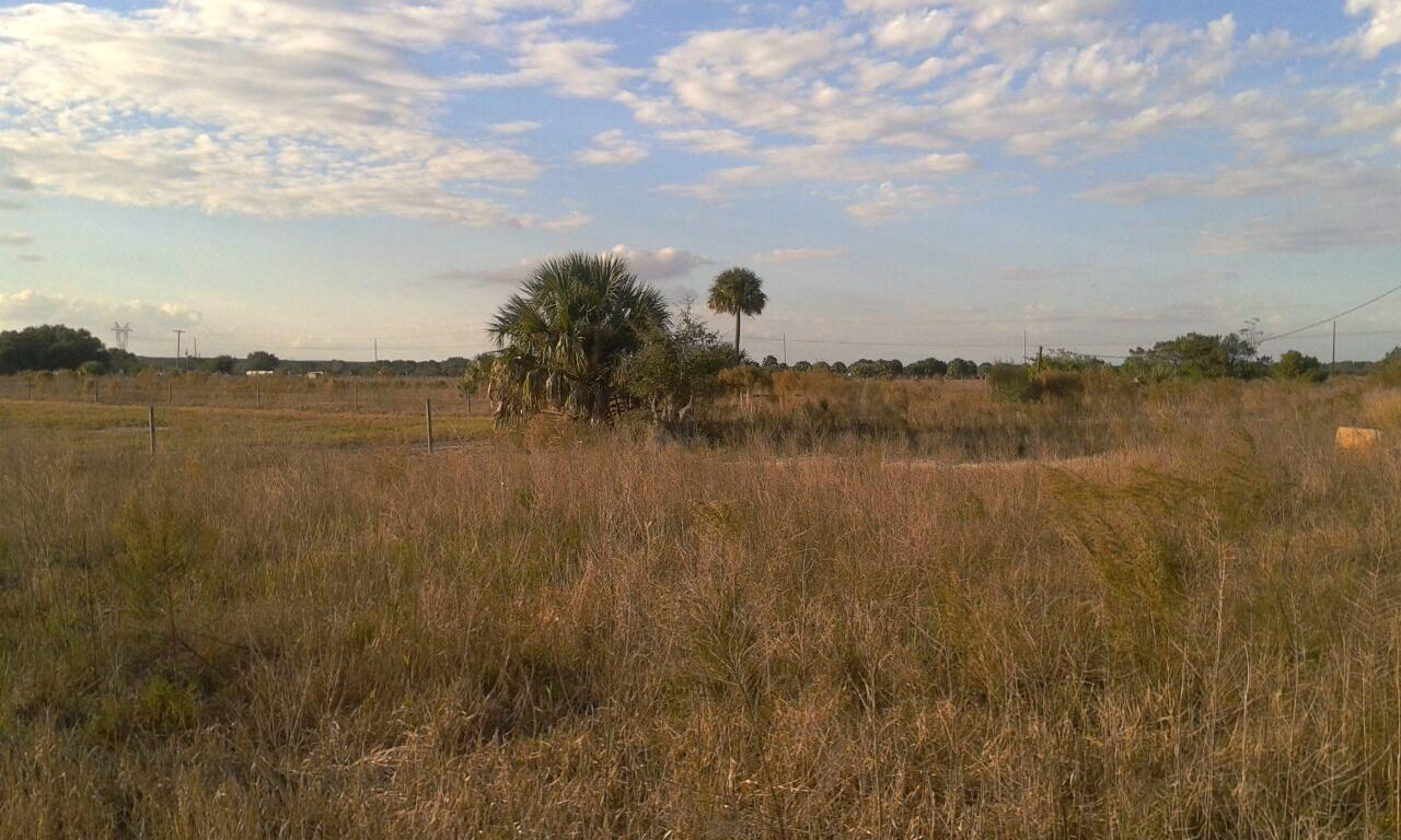 PRICE REDUCED 8± Acre Undeveloped Land