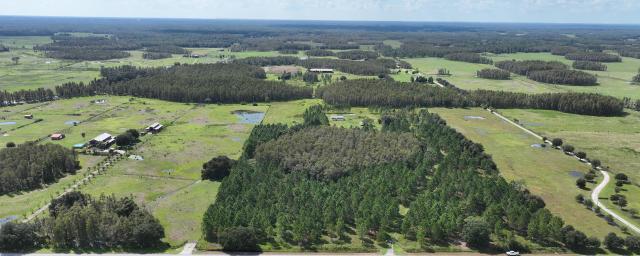 Moore Road 20 Acres