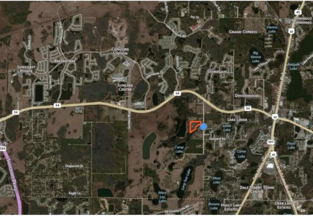20.6+- Acres Vacant Land