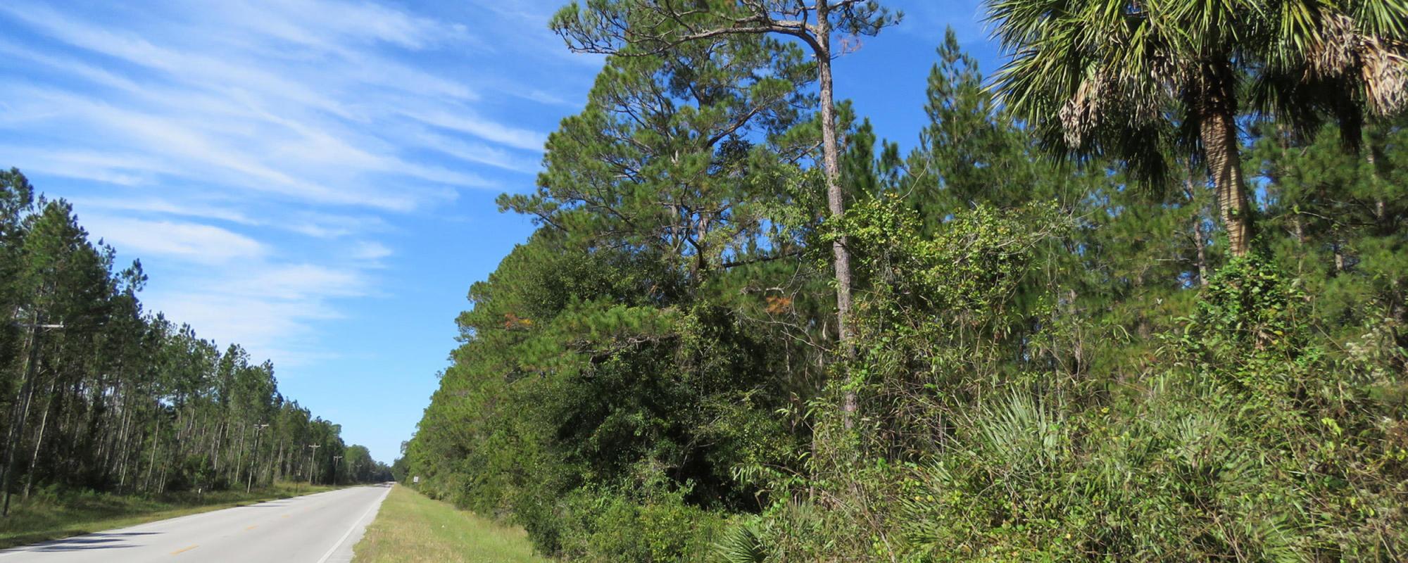 Fort McCoy Timber & Hunting