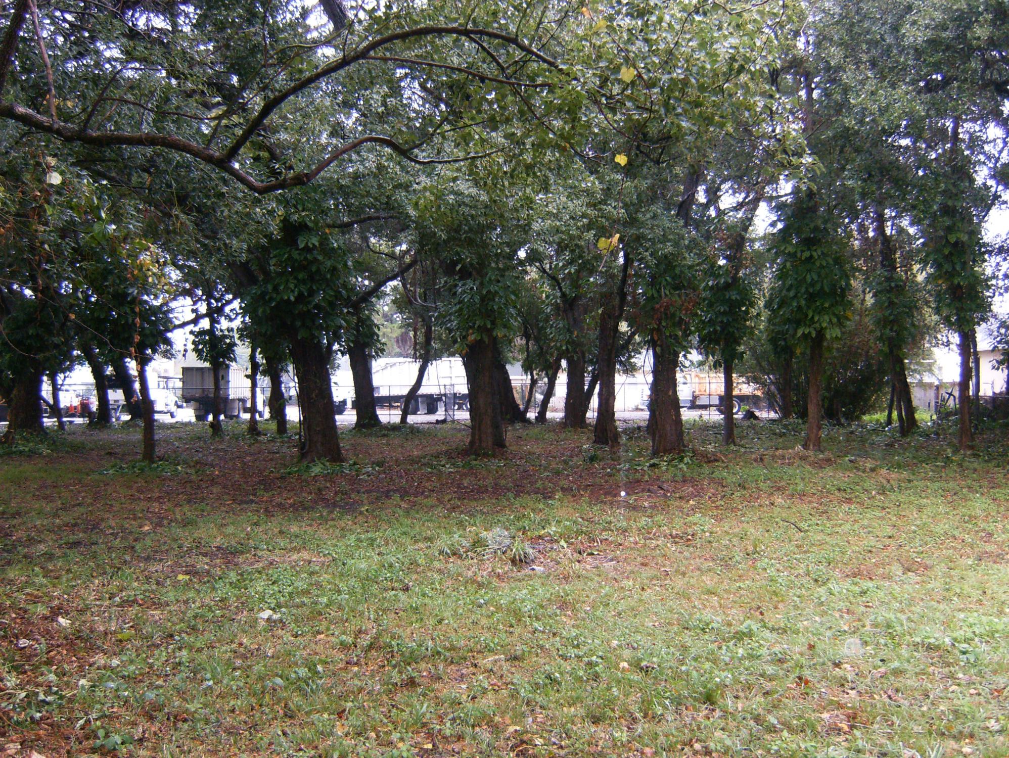 Vacant land, corner lot