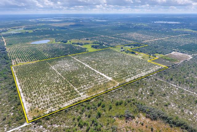 Private Preserve 65.75± Acre Grove - Ft Meade