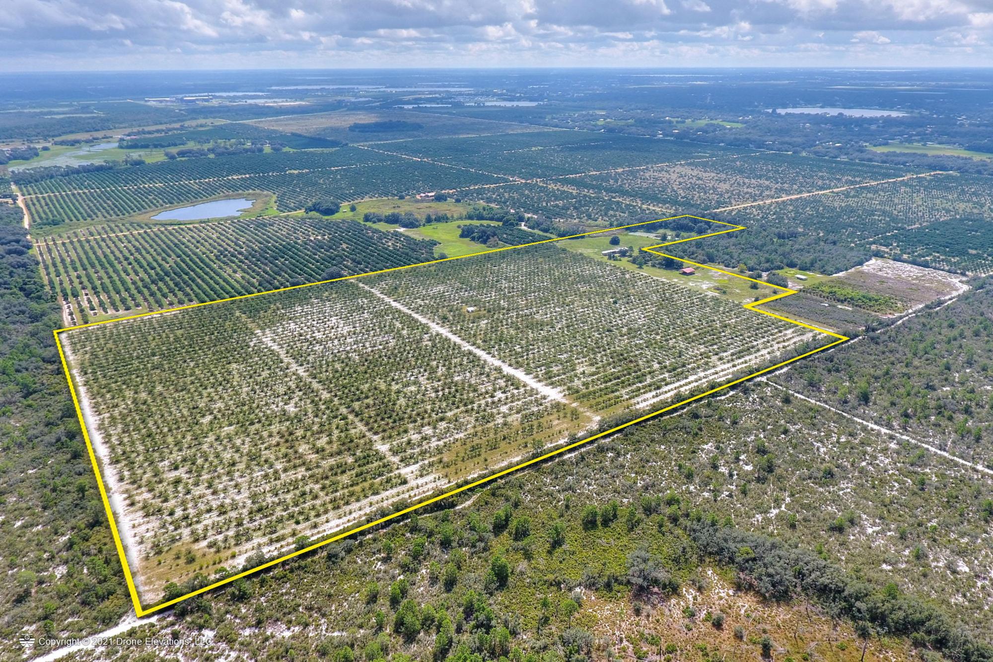 Private Preserve 65.75± Acre Grove - Ft Meade