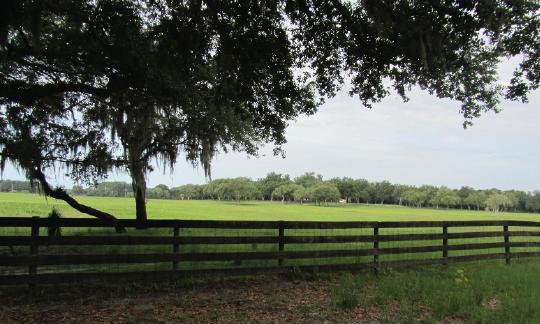Providence Ranch 1081ac Trophy Property