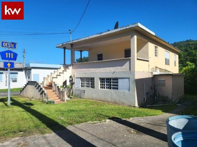 Bo. Vivi Abajo, Local Mixto en Utuado