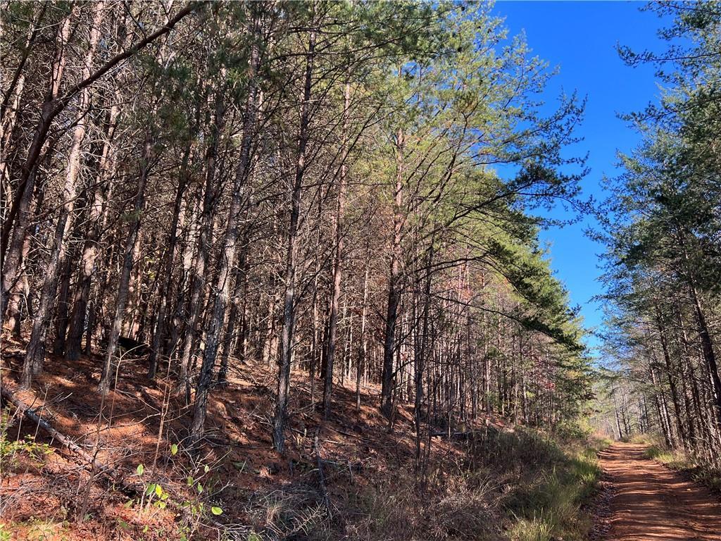 Johnson Mountain Road