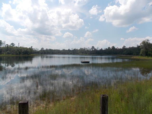 500 ac Cypress Lake Plantation Volusia County