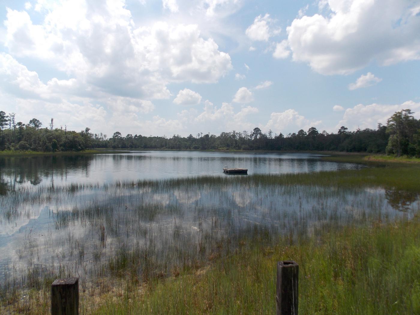 500 ac Cypress Lake Plantation Volusia County