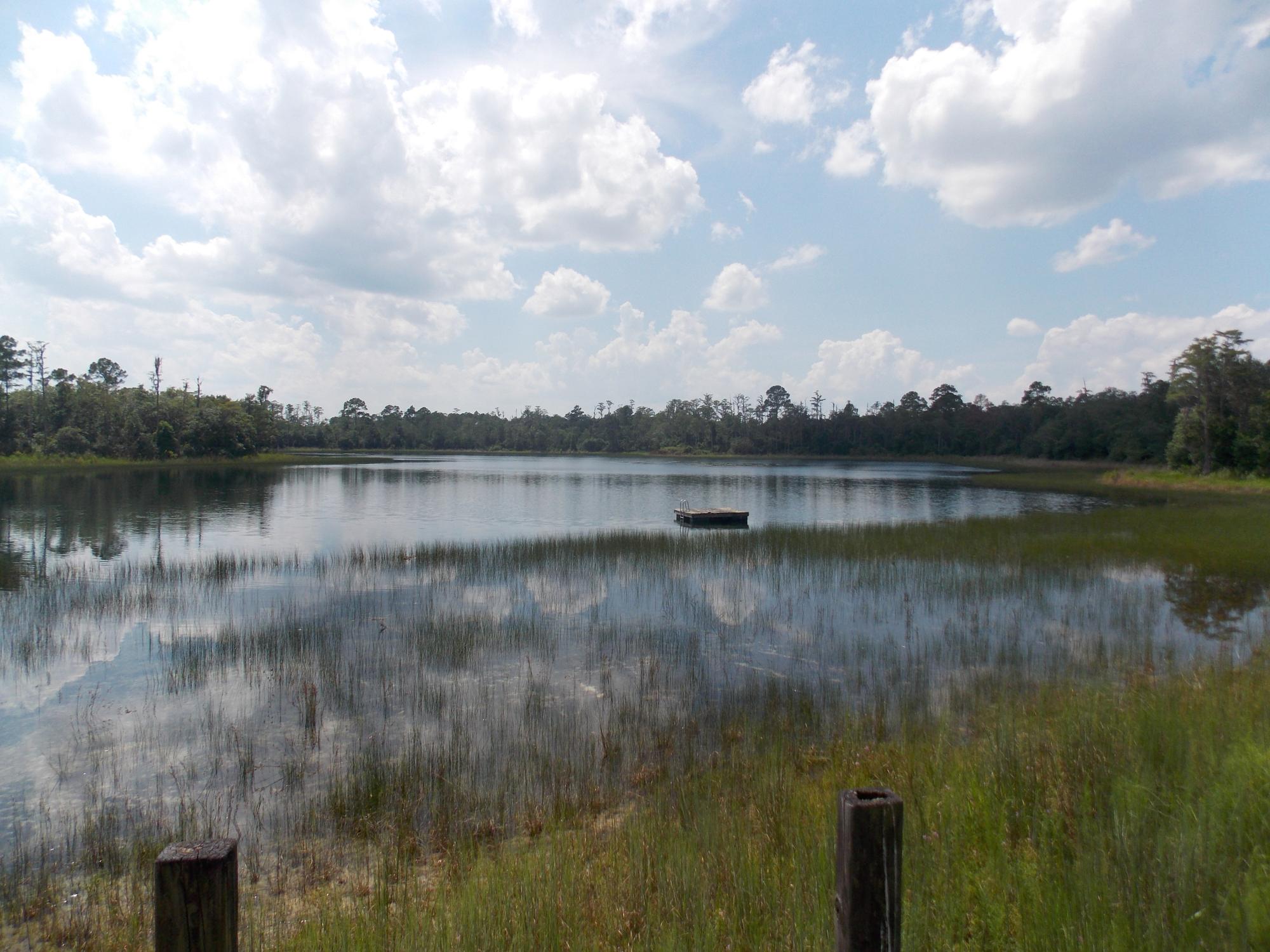 500 ac Cypress Lake Plantation Volusia County