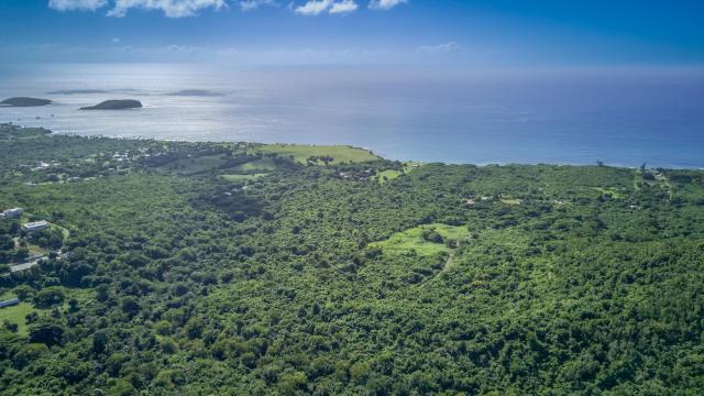 Vieques Land - For Sale