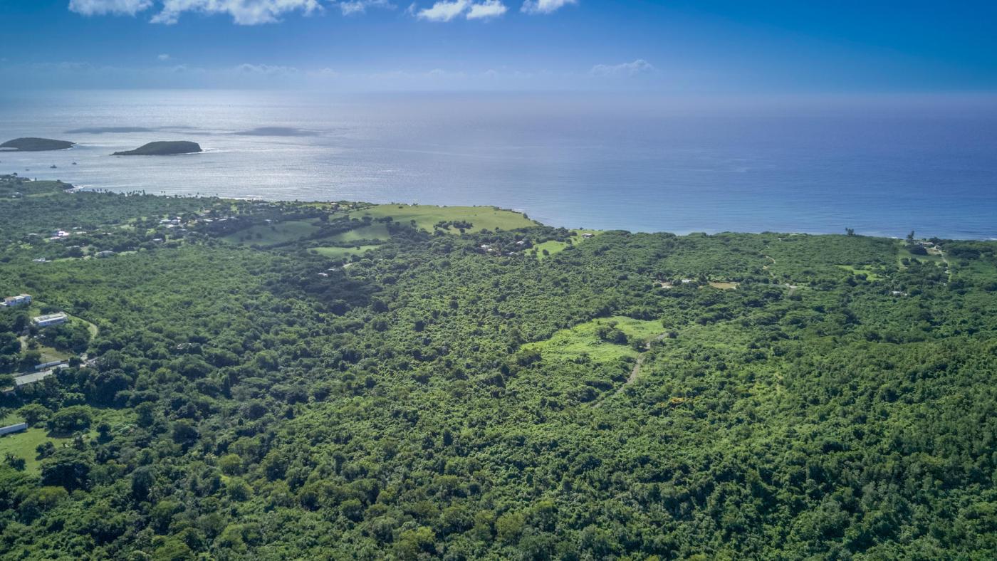 Vieques Land - For Sale