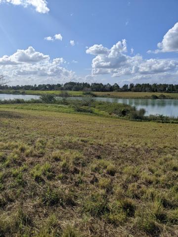 Waterfront Property 5.03 ACRES