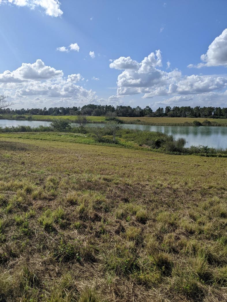 Waterfront Property 5.03 ACRES