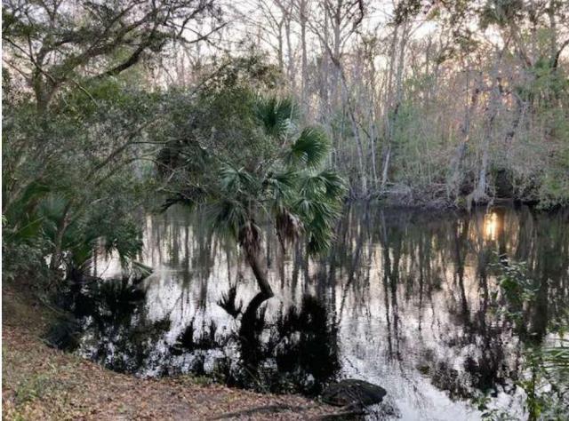 44.5 Acre Retreat-Reduced $100,000