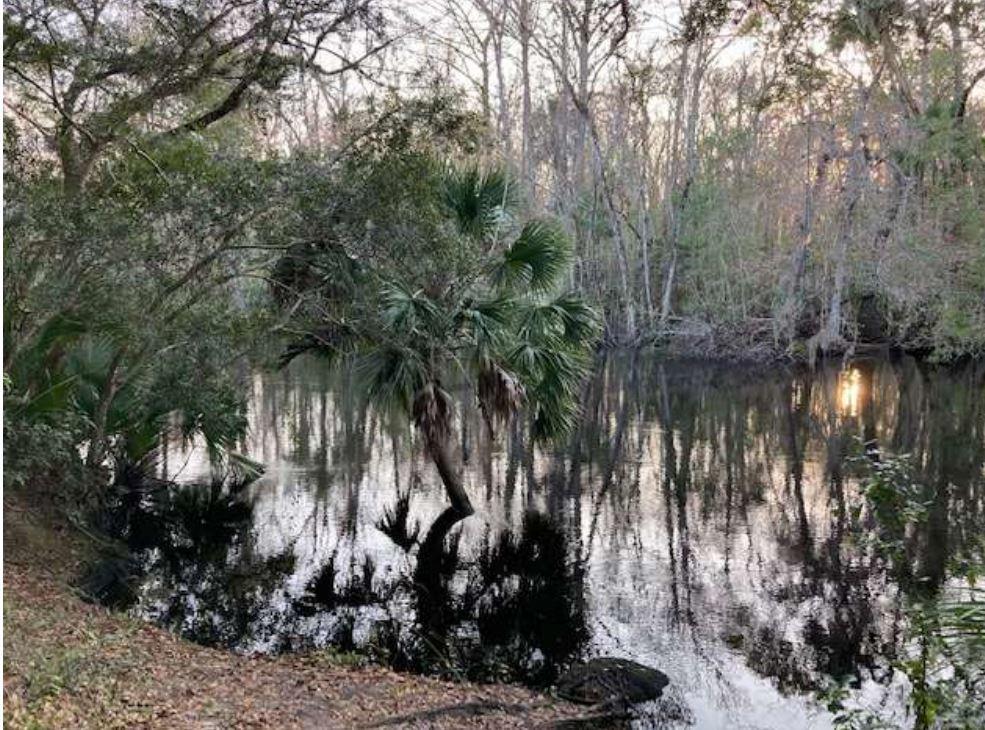 44.5 Acre Retreat-Reduced $100,000