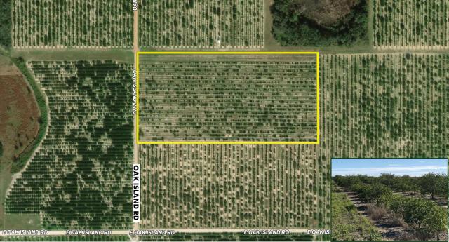 Grove & Rural Residential Homesite