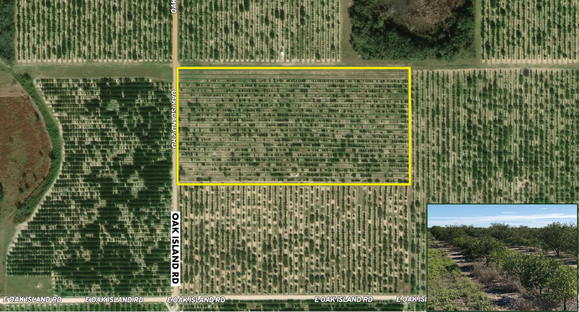Grove & Rural Residential Homesite