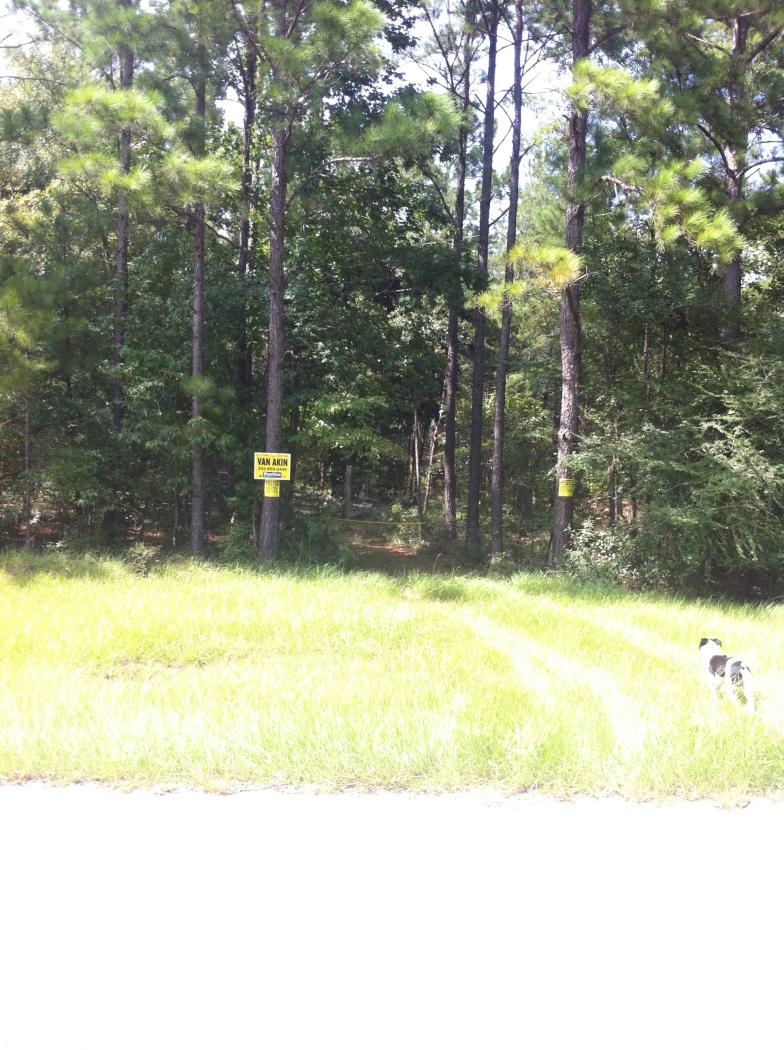 Rolling Wooded Acreage