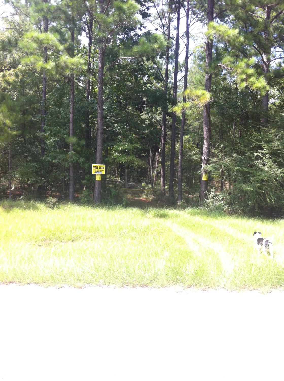 Rolling Wooded Acreage