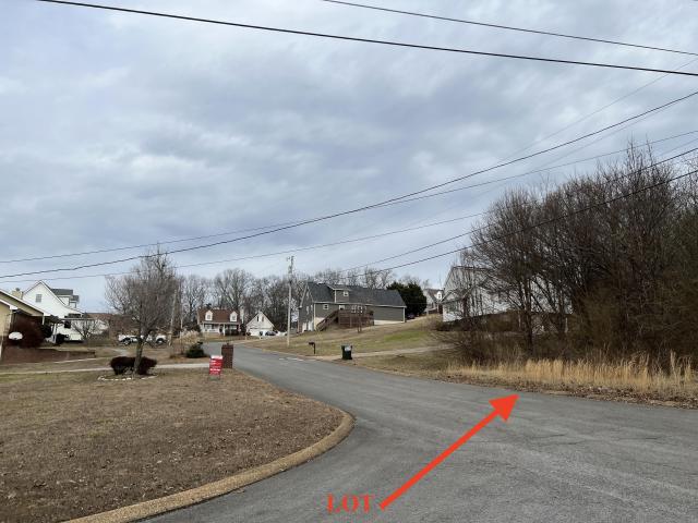 Pine Drive