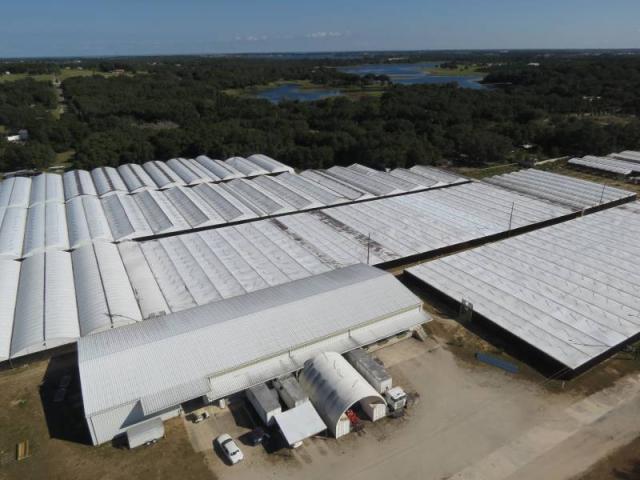 Fern Nursery Established 1975  Agricultural