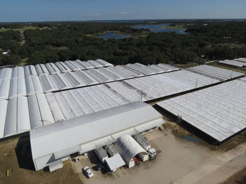 Fern Nursery Established 1975  Agricultural