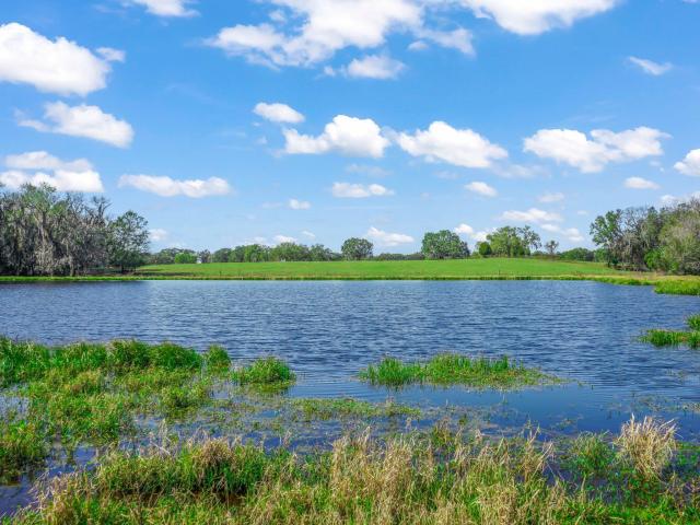 3 Tracts of Beautiful Pastureland in Wildwood