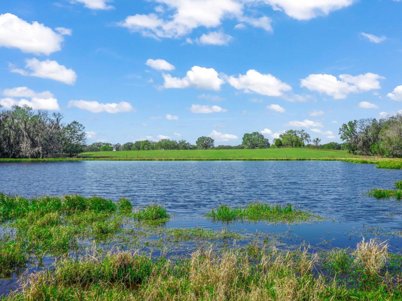 3 Tracts of Beautiful Pastureland in Wildwood